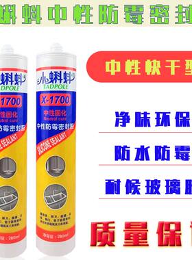 小蝌蚪玻璃胶防霉耐候