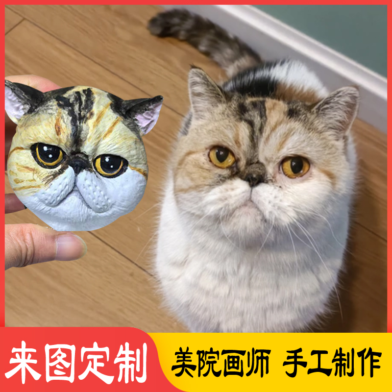 加菲猫异国短毛猫定制小狗模型冰箱贴稀奇古怪汽车摆件索马里猫咪