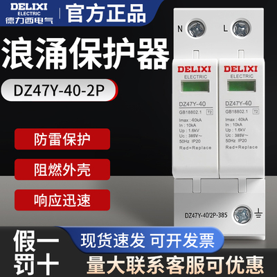 德力西浪涌保护器 家用避雷器 防雷击220V 2P40KA电涌DZ47Y-40