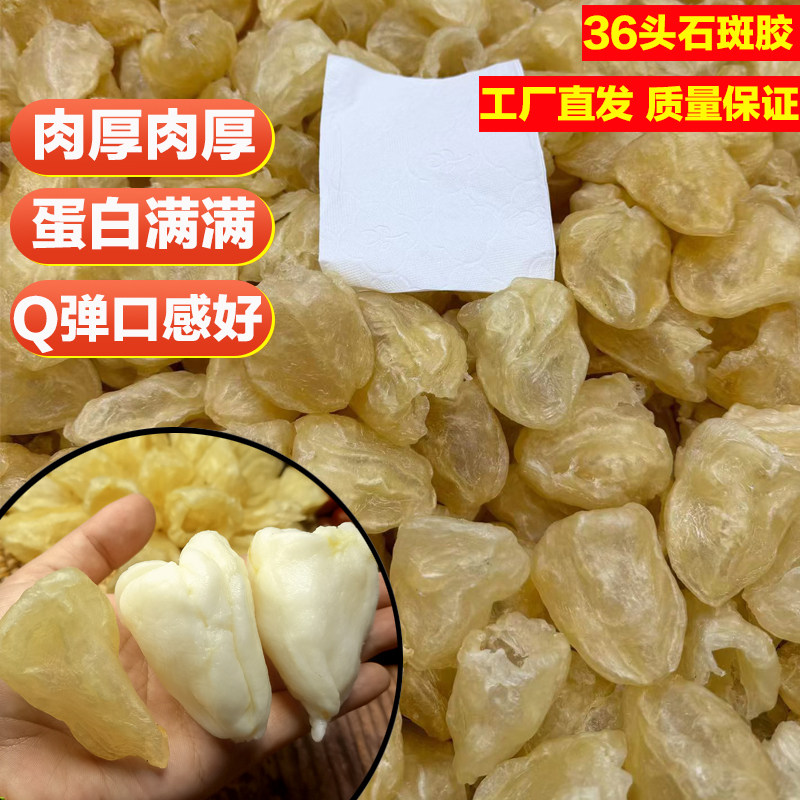 商用36头厚肉石斑胶鱼胶深海花胶干货蝴蝶胶石斑肚蝴蝶胶奶冻胶