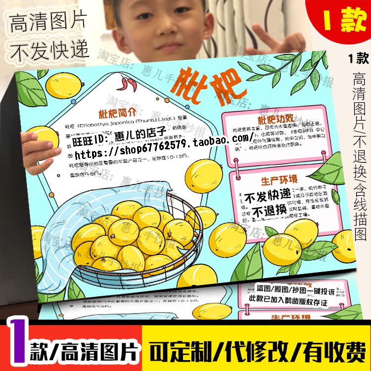 枇杷自然笔记手抄报植物生长名片植物观察日记自然科学电子小报