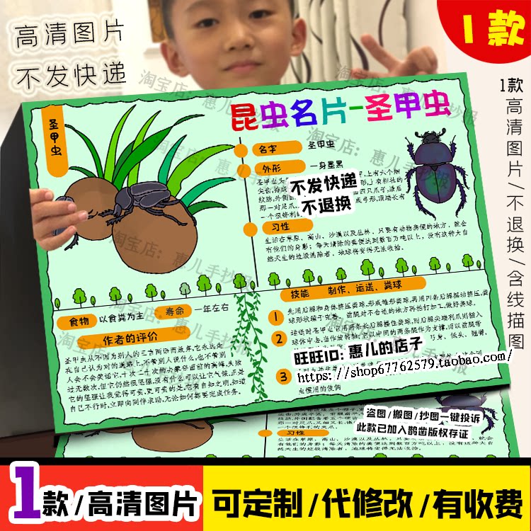 昆虫记圣甲虫名片手抄报昆虫记介绍卡档案屎壳郎电子小报模版线稿