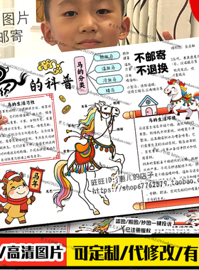 马的自然笔记手抄报马的分类习性动物观察日记电子版小报线稿