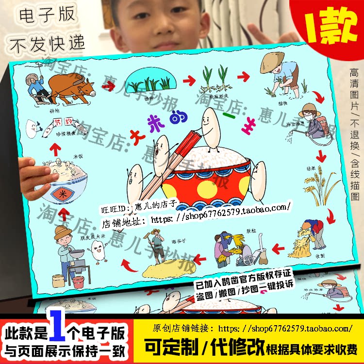 大米的一生科学观察手抄报水稻生长记自然科学观察日记电子版小报