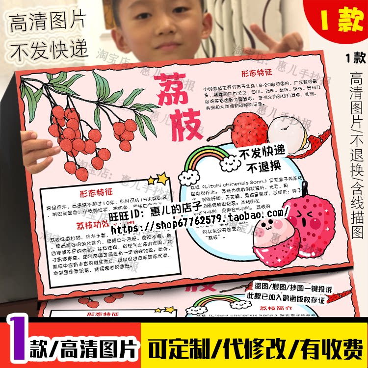 荔枝手抄报植物名片自然观察笔记生长记录电子版小报线稿