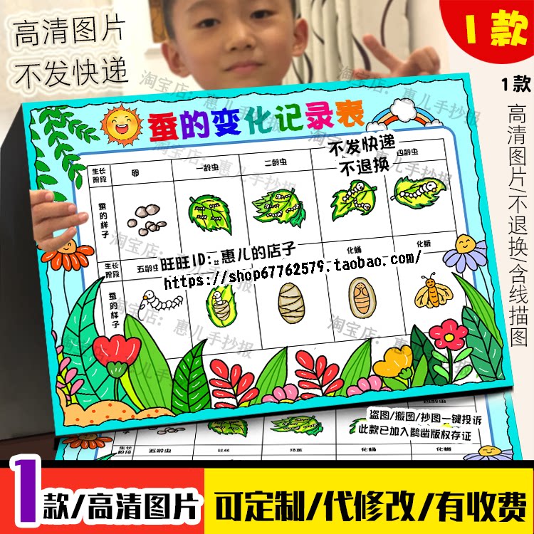蚕宝宝成长记手抄报养蚕生长过程蚕的一生自然笔记电子版小报线稿