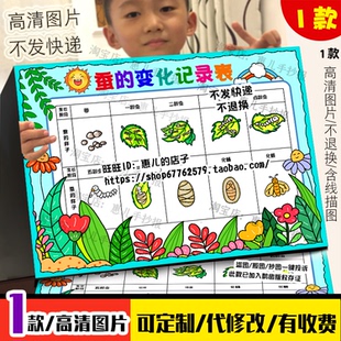 蚕宝宝成长记手抄报养蚕生长过程蚕的一生自然笔记电子版小报线稿