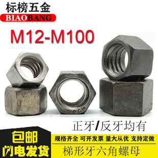 梯形牙六角螺母T型牙六方母方扣螺帽粗牙六角螺丝母M12M16M20 M60