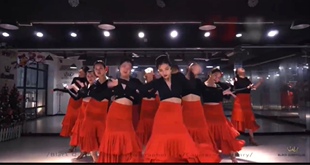 弗拉门戈舞裙练习裙佛朗明哥佛拉门戈鱼尾裙双层舞台服