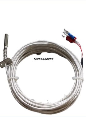 端面热电阻WZPM-001A端面铂电阻/WZCM-001B级/A级PT100温度传感器