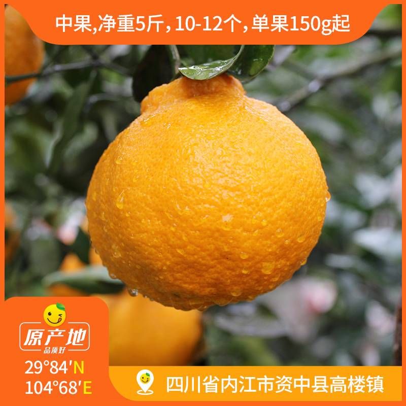 辰颐物语丑橘不知火5斤中果大果成都蒲江眉山橘子桔子新鲜现摘