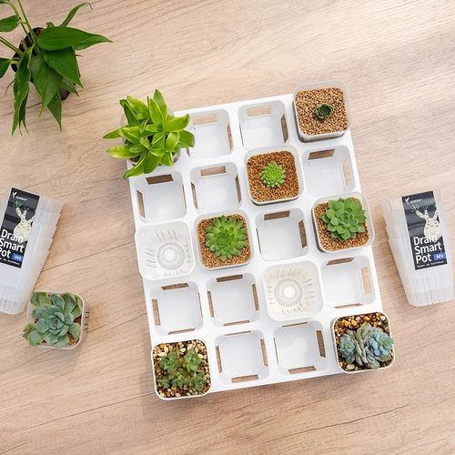 花信托架多肉收纳盒多规格