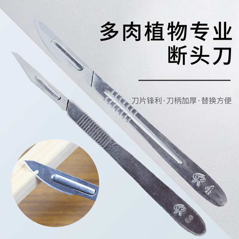 多肉植物砍头刀嫁接刀扦插多肉工具十二卷分株专用水仙雕刻刀园艺