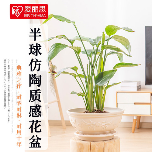 爱丽丝简约树脂加厚耐用