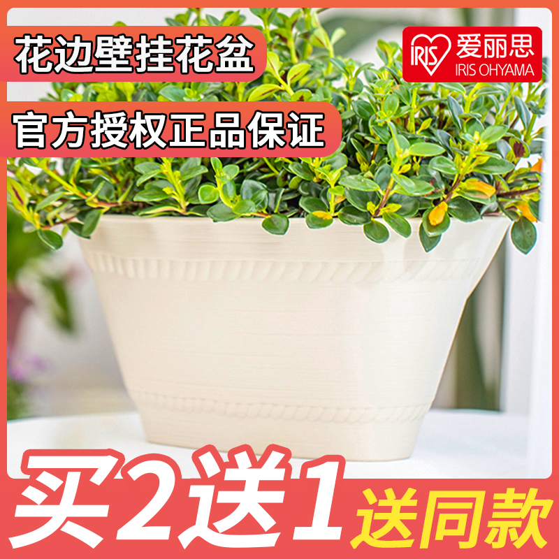 爱丽丝壁挂花盆爱丽思树脂悬挂墙壁特价阳台挂钩植物绿萝懒人吸水