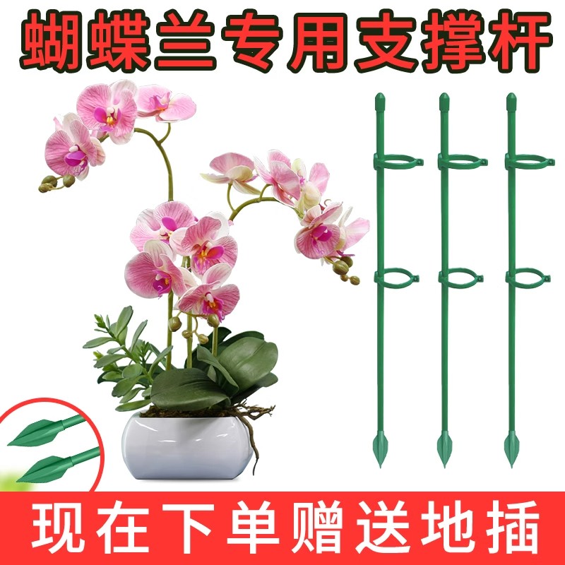 蝴蝶兰番茄绣球西红固定杆爬藤园艺花架花支撑架植物防倒伏支撑杆