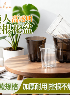 透明空气柱控根透气树脂塑料青山加仑盆月季绣球君子兰花专用盆