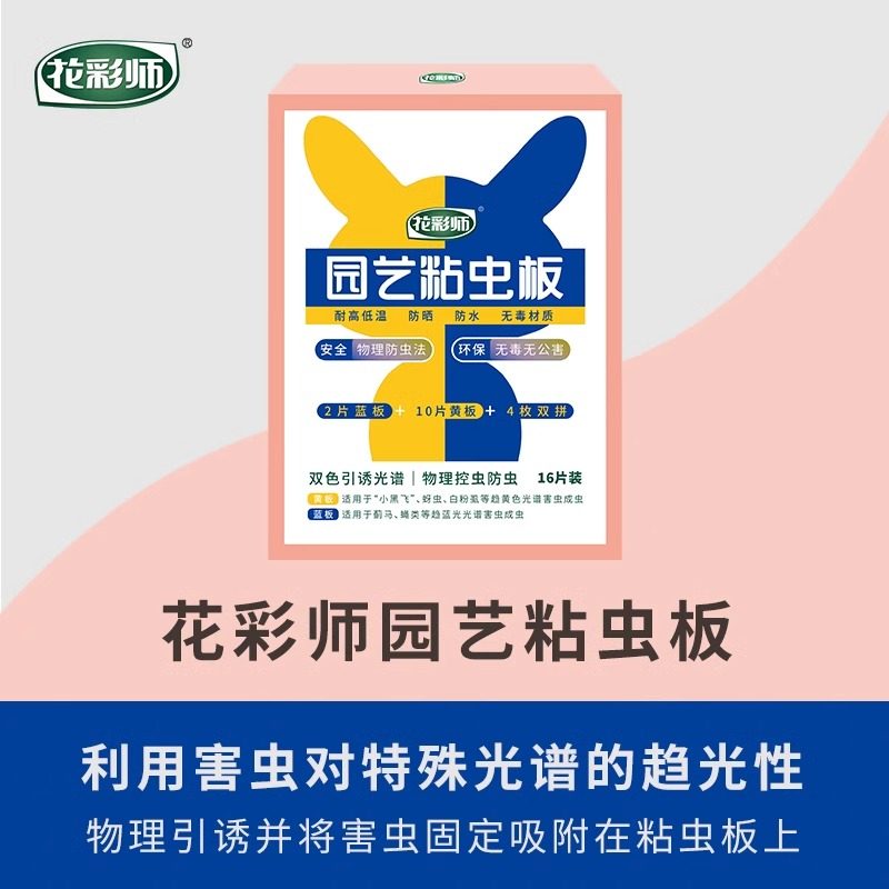 花彩师粘虫板可爱家庭园艺