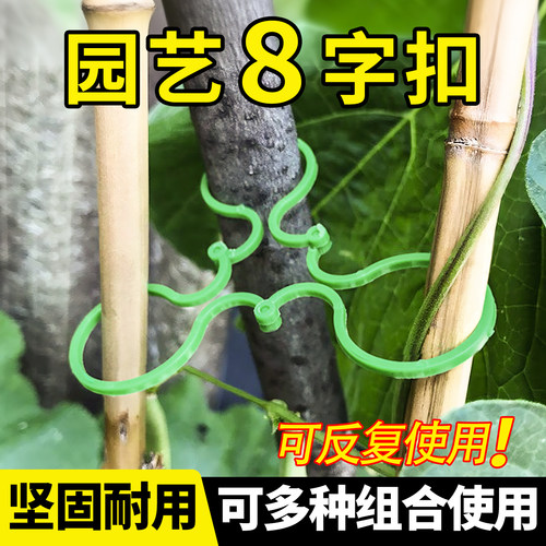 园艺八字扣植物固定夹藤曼爬藤绿植花枝固定器8字扣塑料园林扎带