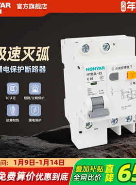 鸿雁空气开关带漏电保护63a断路器家用220v空调2p过欠压保护器