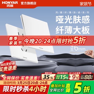 鸿雁超薄哑光开关插座面板家用磨砂奶油风86型16a五孔插暗装 E9白