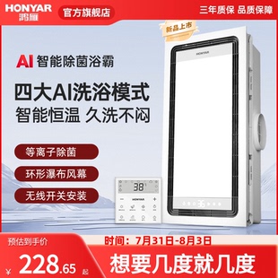鸿雁风暖浴霸照明排气扇一体集成吊顶灯浴室智能卫生间暖风机