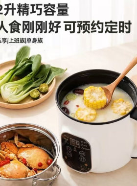智能预约定时电煮锅保温炒煮一体
