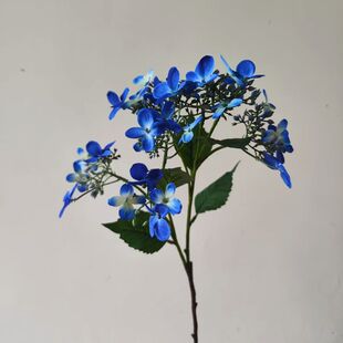 仿真花蝴蝶紫阳花绣球花新娘手捧花婚庆花艺设计插花配材家居假花