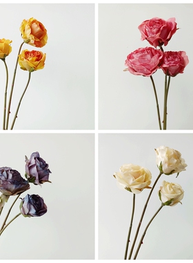 油画仿真花手感复古高颜值香槟色玫瑰 紫灰色 花艺造景婚礼装饰花