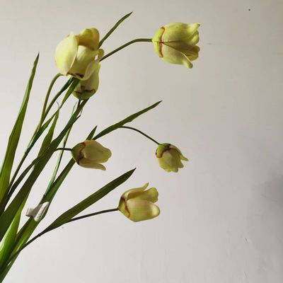 新款手感贝母花客厅玄关酒店大堂样板间摆件装饰假花仿真郁金香