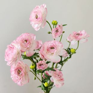仿真花 多头毛茛粉色小陆莲 洋牡丹 单枝假花 室内家居 摄影道具