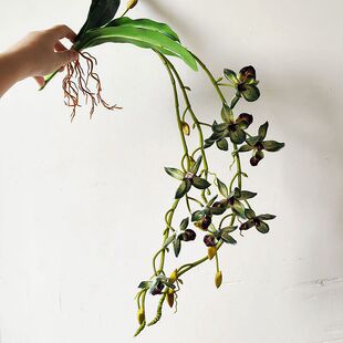 仿真千鸟兰婚庆布置家居装饰蜘蛛兰千鸟蓝藤兰花盆景石斛兰小蕙兰