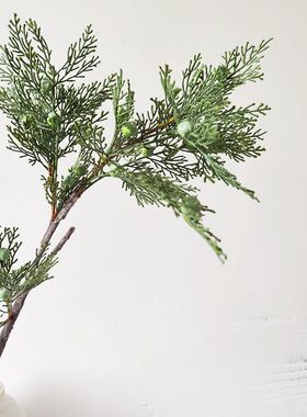 侧柏枝仿真柏树枝松枝崖柏枝龙柏枝插花盆景假叶子松树枝雪杉松
