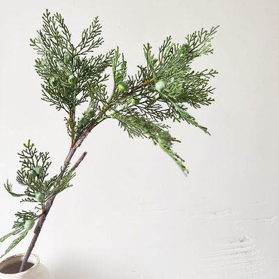 侧柏枝仿真柏树枝松枝崖柏枝龙柏枝插花盆景假叶子松树枝雪杉松