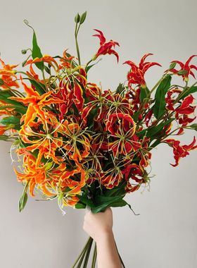 仿真花 嘉兰 火焰百合 家居装饰 花艺师插花 摄影道具 摆件陈设