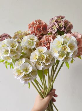 仿真花蓝盆花种子风车果假花 森系婚庆花艺装饰花束插花车轮菊