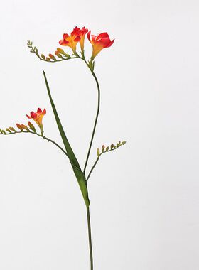 大号香雪兰手感保湿仿真花高端客厅插花装饰花束礼物拍摄道具配材