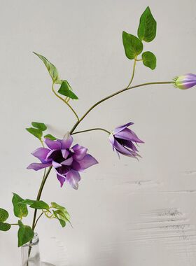 中式禅意仿真花铁线莲花客厅书房高级紫色假花束摆设装饰花卉插花