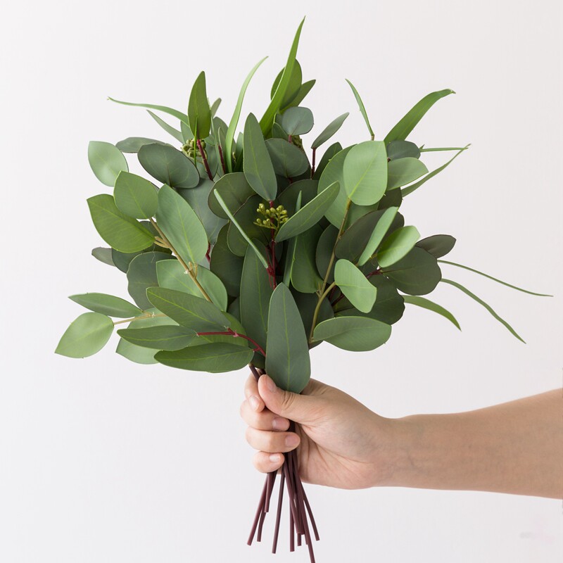 单枝高质手感胶片尤加利叶桉树叶把束绿色植物 插花配叶手工diy