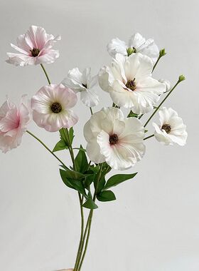 ins韩式插花蝴蝶花艺空间美陈