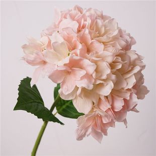 超逼真手感保湿仿真大朵绣球花高档客厅餐桌茶几装饰假花拍摄道具