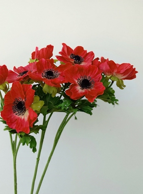 白色高档拍摄道具落地摆件银莲花