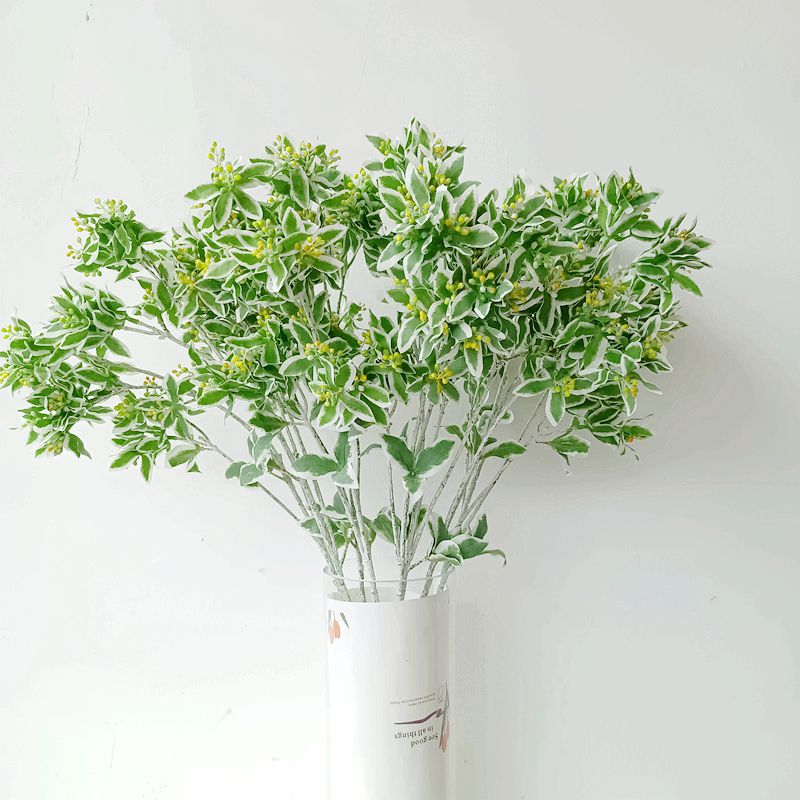 高档仿真绿植插花配草银边翠清新白绿色鸣子叶 花艺配材 叶上白