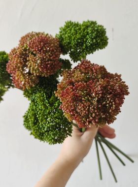 样板房仿真假花塑胶果实绣球果花艺盆花插花多肉植物软装摄影道具