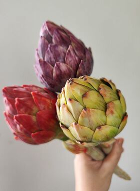 靓插花室内中国洋蓟枝红手感1