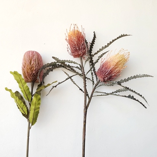 北欧秋色朝鲜蓟班克木自然系仿真植物家居摆放花艺样板房道具插花