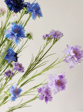 德国矢车菊蓝色粉紫花仿真花绢丝花摄影DIY写真花材道具 装饰摆设