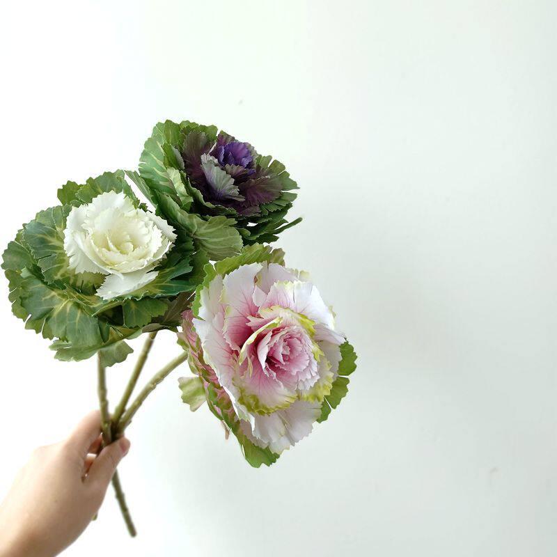 单枝高质高丽菜高仿真蔬菜厨房装饰花卉假花仿真花绢花花艺设计
