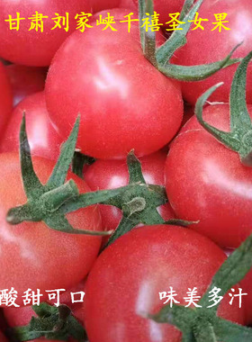 甘肃刘家峡自然熟新鲜圆圣女果千禧樱桃小番茄水果农家西红柿4斤