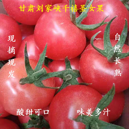 甘肃刘家峡自然熟新鲜圆圣女果千禧樱桃小番茄水果农家西红柿4斤